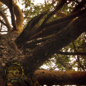 The Ancient Shroud Of Primeval Ural Woods