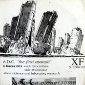 The First Assault