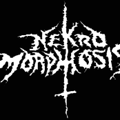 nekro morphosis