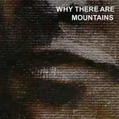 Cymbals Eat Guitars: Why There are Mountains