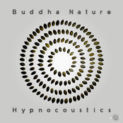 Buddha Nature