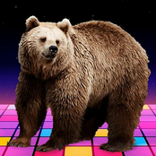 bearfloor