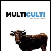 multi culti