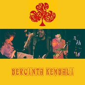 bercinta kembali