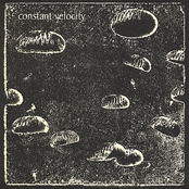 Constant Velocity