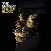 The Bravery: Stir The Blood