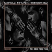 Too Good to Be True (feat. Machine Gun Kelly) [Remixes] - Single