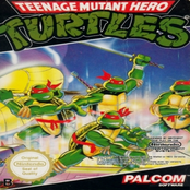 Teenage Mutant Hero Turtles
