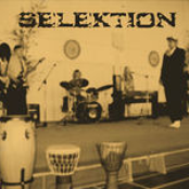 selektion