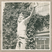 Complicity by Arto Lindsay