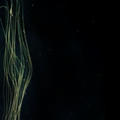 Underworld