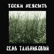 Тоски Неясыть