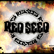 We are Red Seed