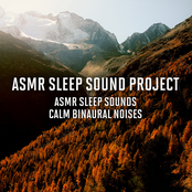 ASMR Sleep Sounds - Calm Binaural Noises