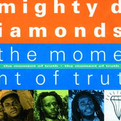 What A Crazy Life by The Mighty Diamonds
