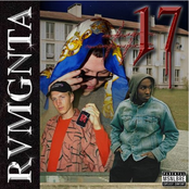 RVMGNTA #17