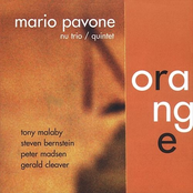 Mario Pavone: Orange