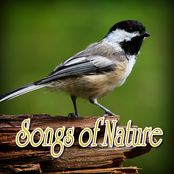 Songs of Nature (Nature Sounds)