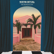 Mating Ritual: The Bungalow