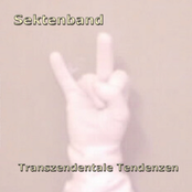 Transzendentale Tendenzen