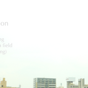 a quiet position - edition one: field fest