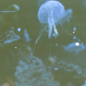 mortuus in anima volume II