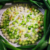 Green Onions (Chipped to Bits Mix)