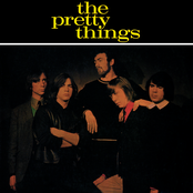 come see me: the very best of the pretty things