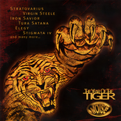 The Year Of The Tiger