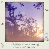 Flowers smell like candies EP