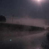 the woods hold secrets