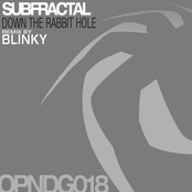 Down The Rabbit Hole