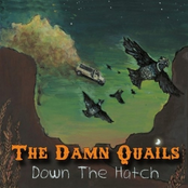 The Damn Quails: Down the Hatch