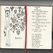 lavender & trazodone