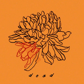 Dead - Single