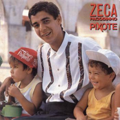 Cativeiro Do Amor by Zeca Pagodinho