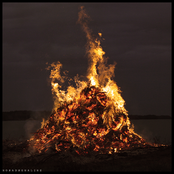 The Holographic Mind