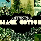 Black Cotton