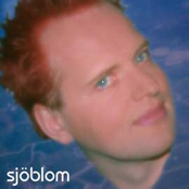 sjoblom