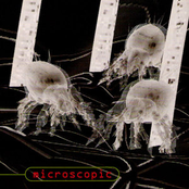 Microscopic by Download