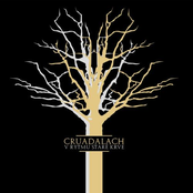 V rytmu staré krve(DEMO)