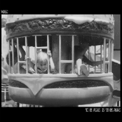 To Be Alive is To Be Alone