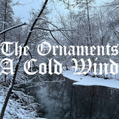 A Cold Wind