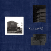 Dogs on Shady Lane: The Knife