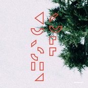 All The Wild Animals (Acid Pauli Let Them Be Naked Remix)