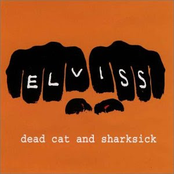Dead Cat and Sharksick