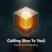 Calling (Run To You)