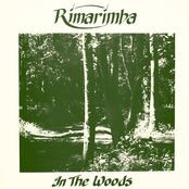 In The Woods LP