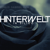 Hinterwelt in Silico