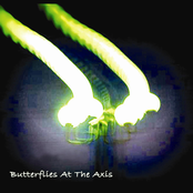 Butterflies At The Axis
